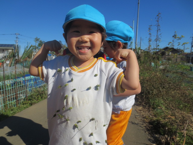 わかば組(3歳児）☆お散歩