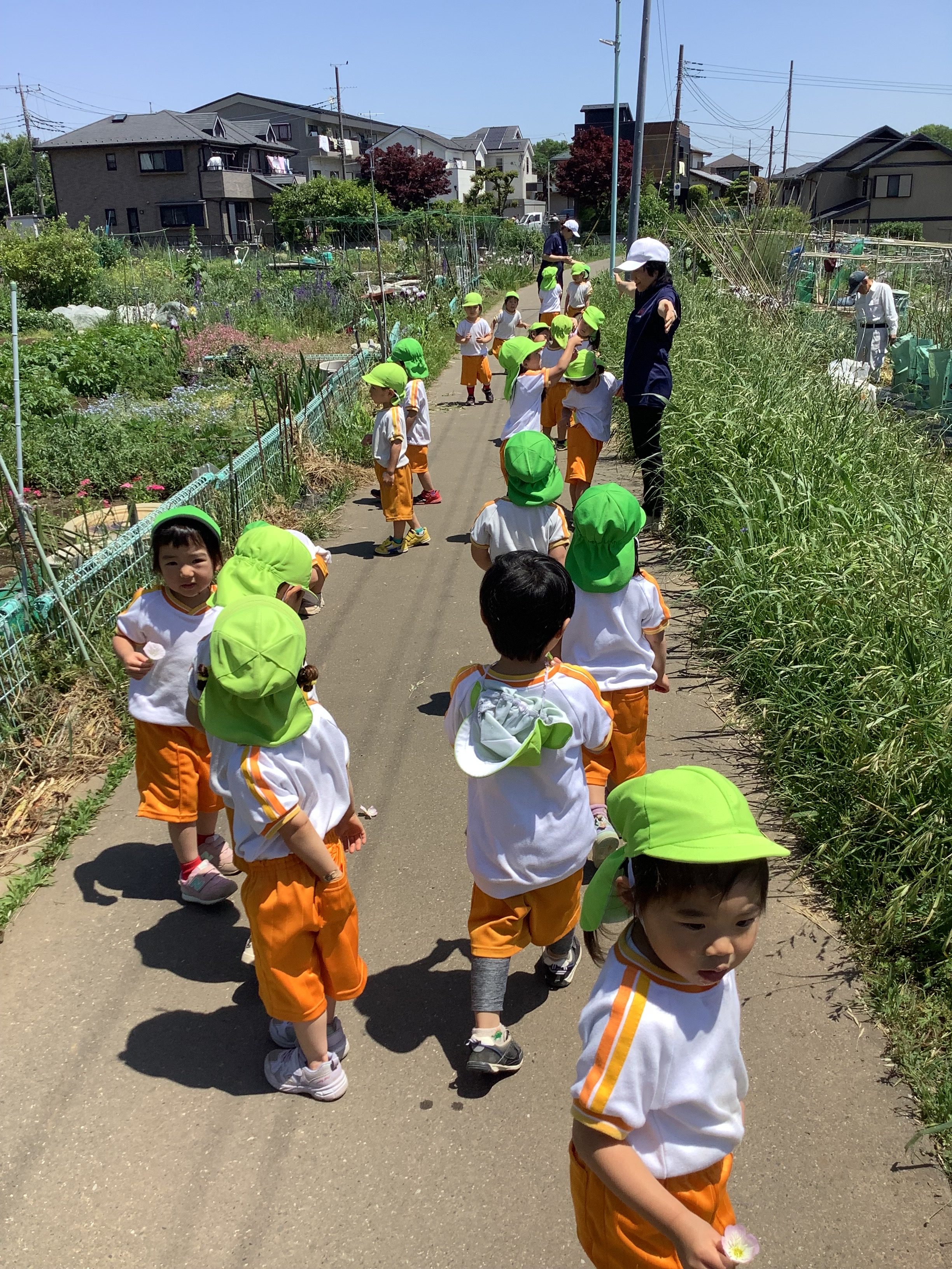 わかば組　けやき組さんとお散歩　