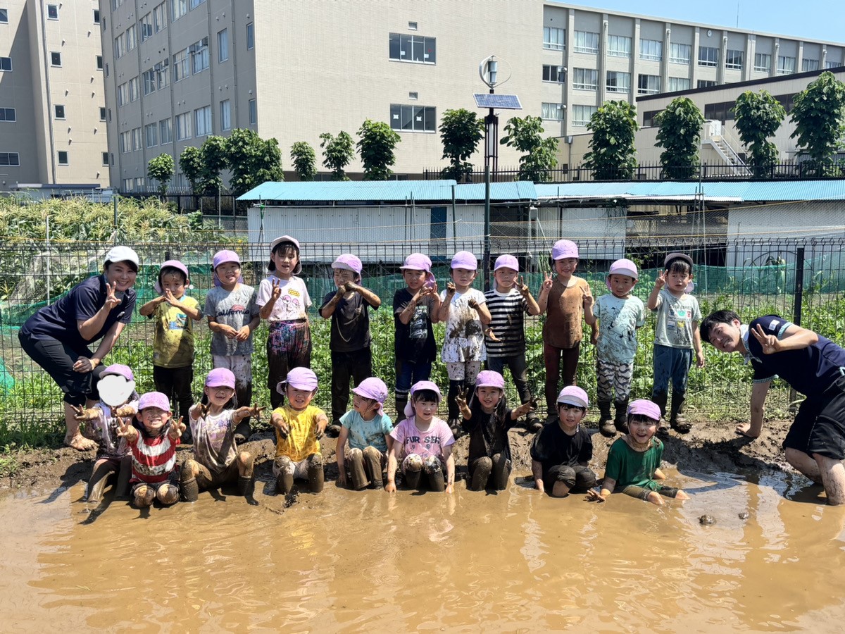おうぎ組☆田植え