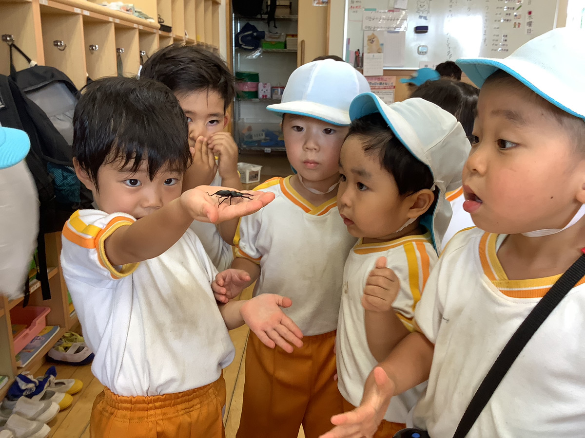 わかば組☆生き物の観察