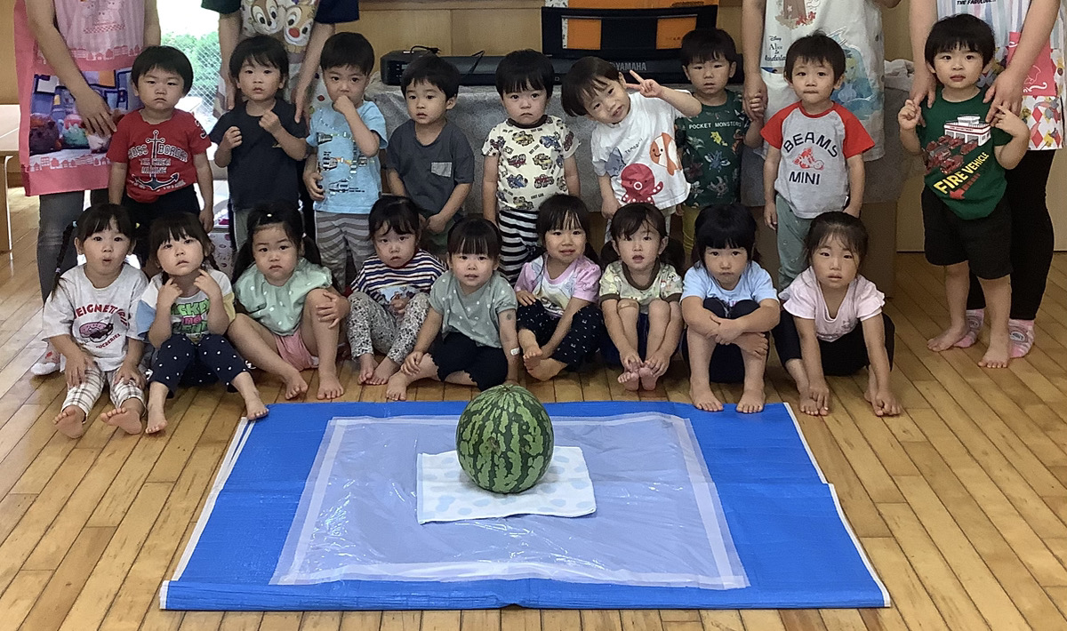 ちょうちょ組☆すいかわりと最近の様子