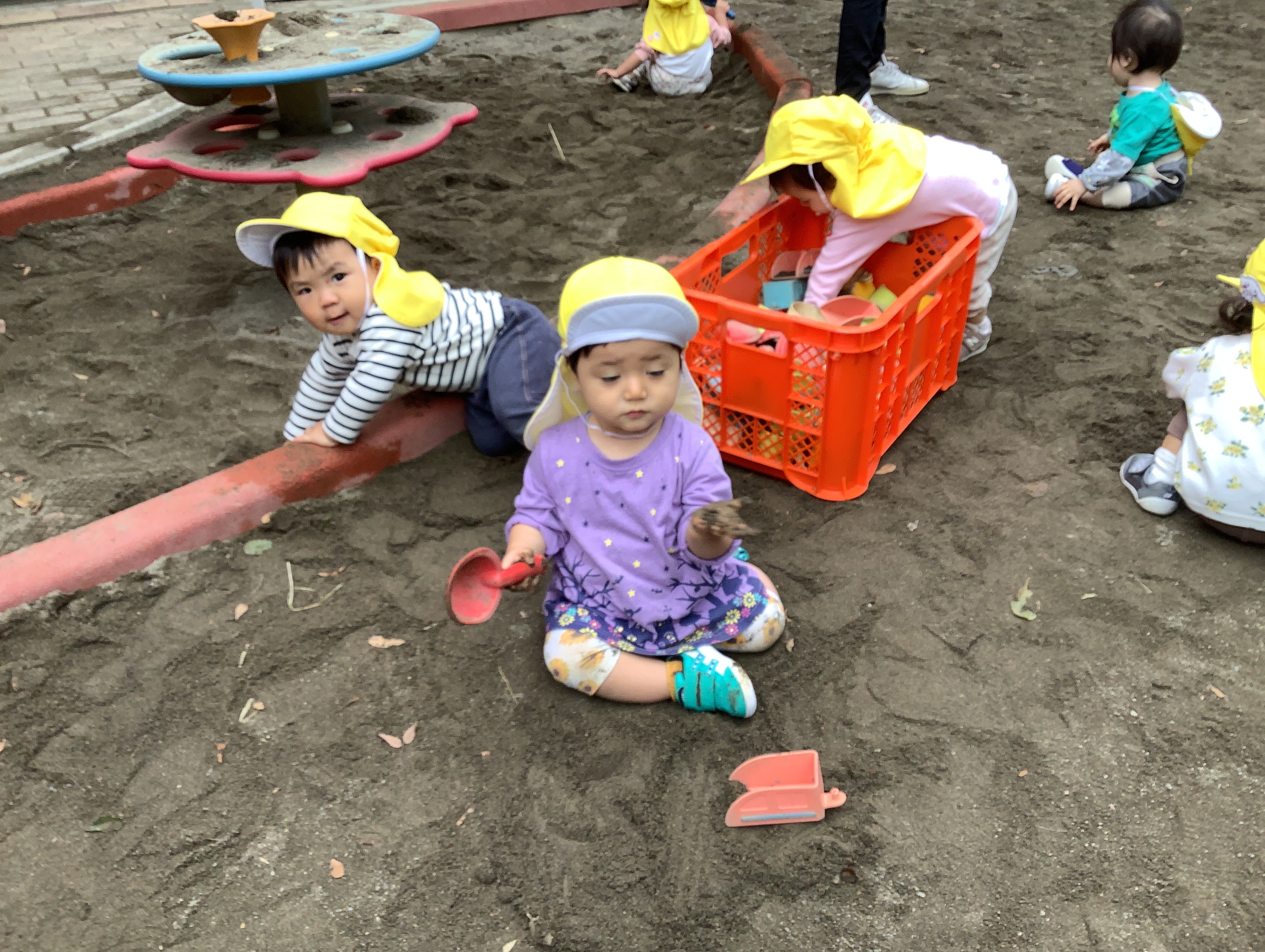 つぼみ組　最近の様子