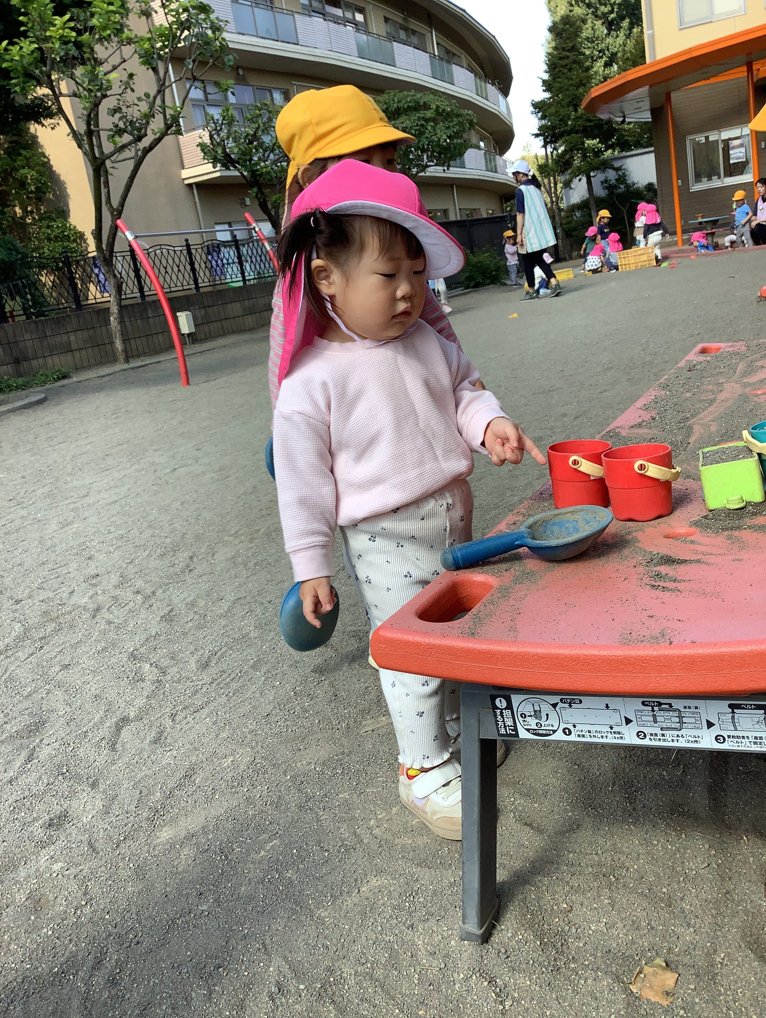 園庭遊び⭐︎はな組