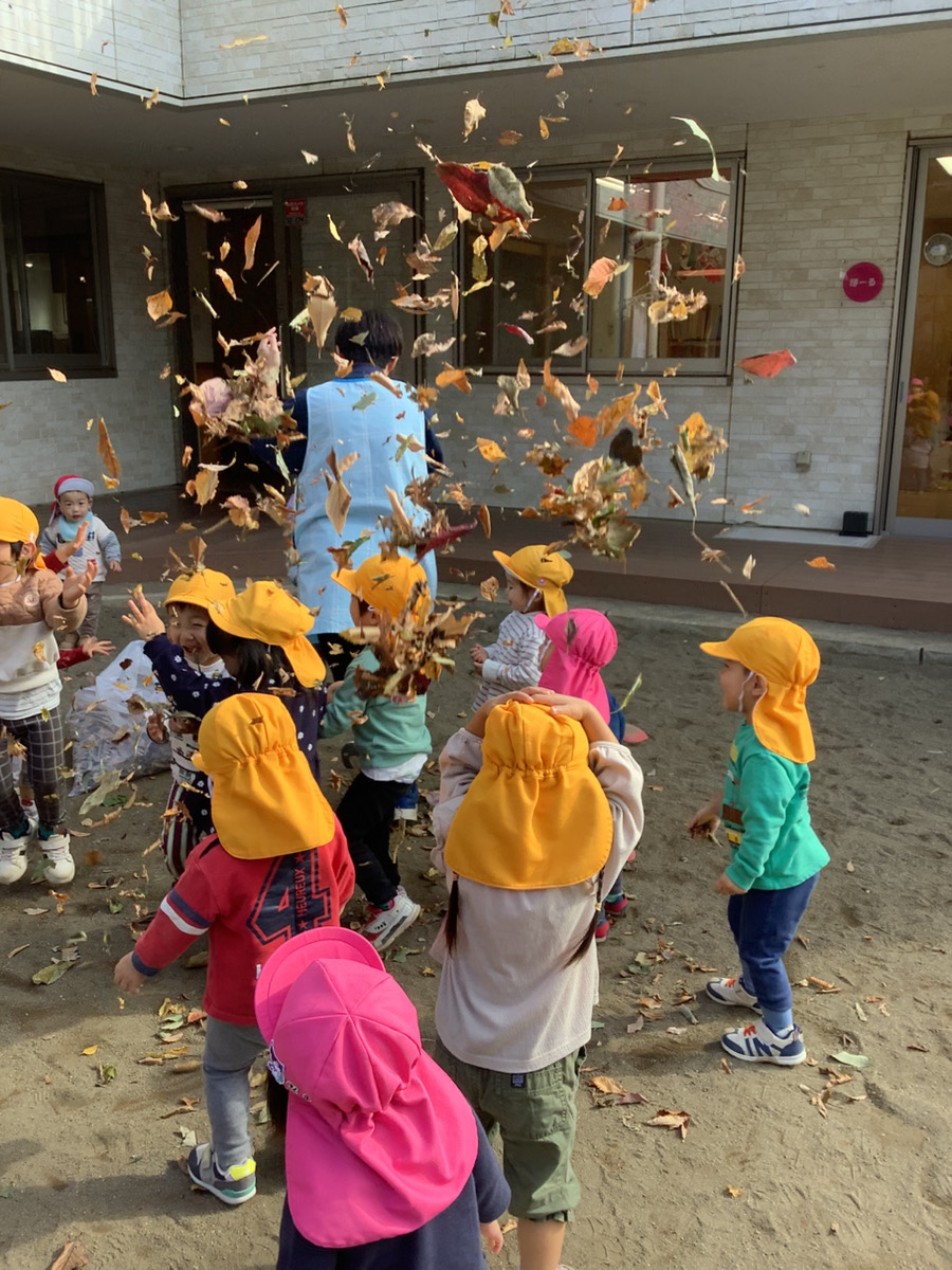 ちょうちょ組☆最近の様子