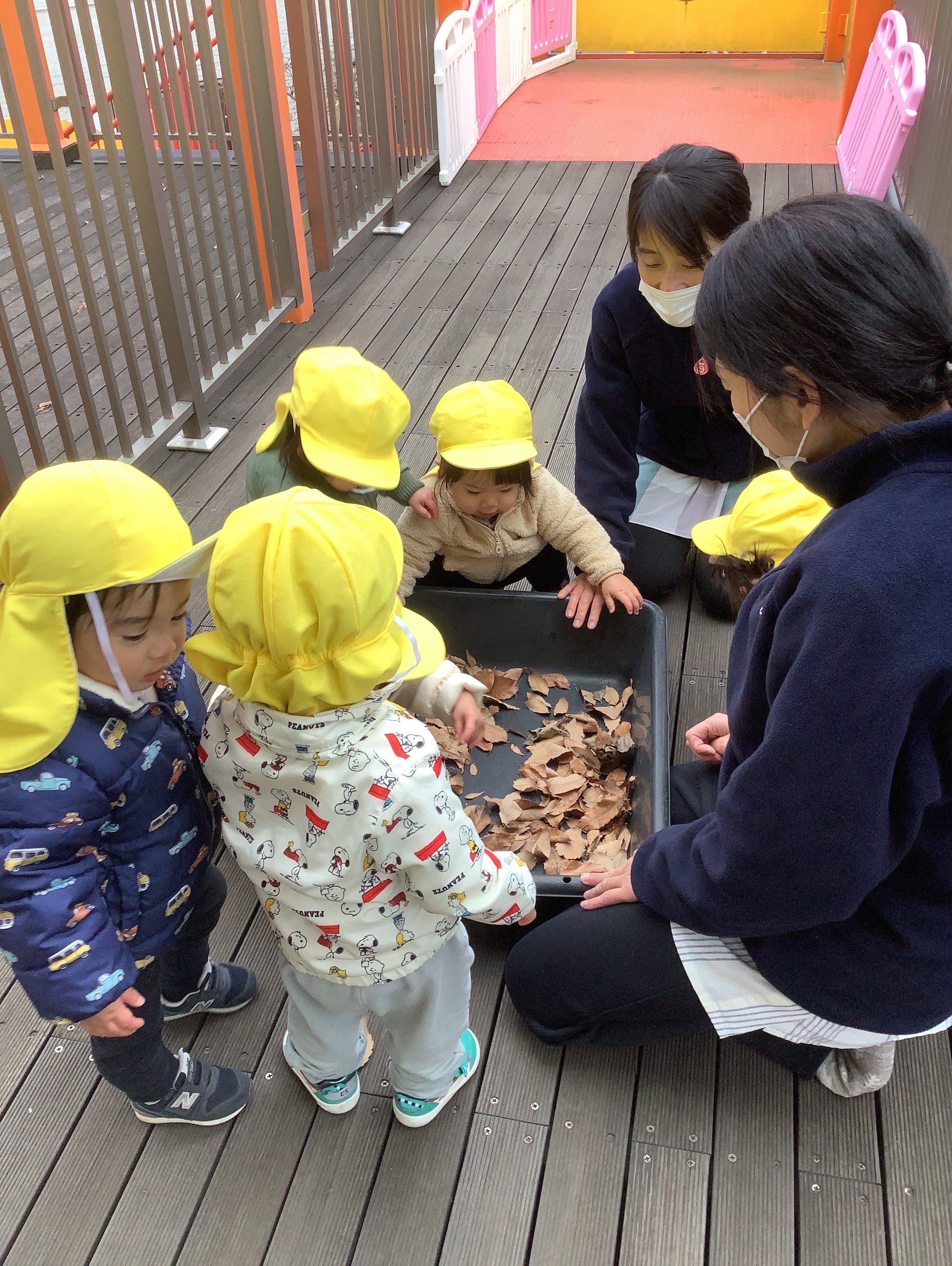 つぼみ組　落ち葉遊び